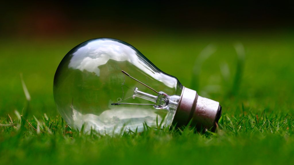 Light bulb lying on grass