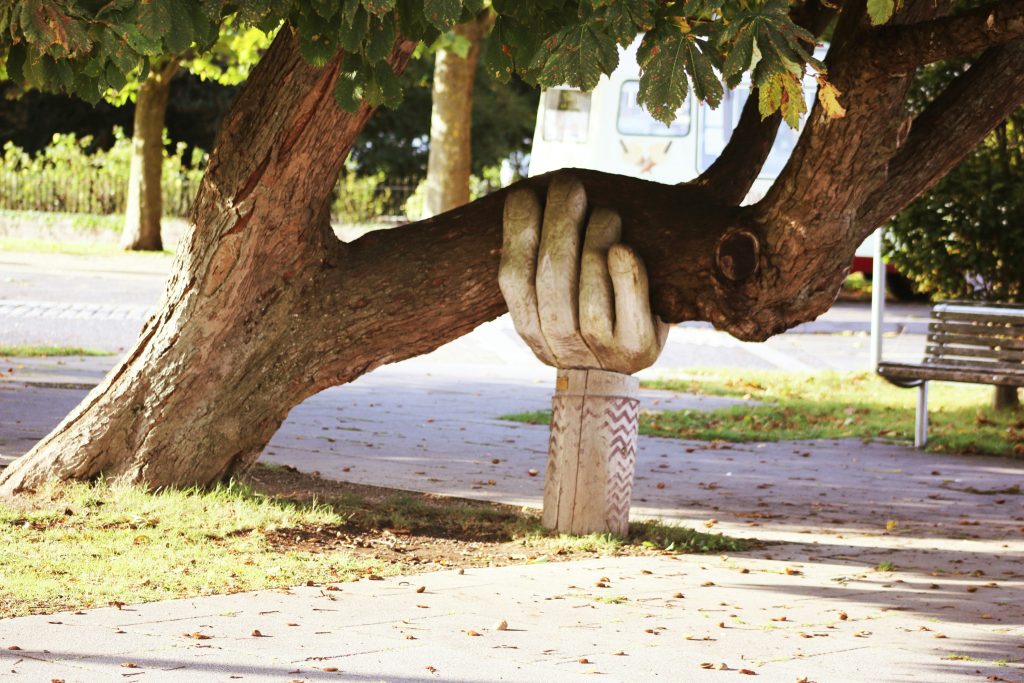 A wooden sculpture of a hand holding up a tree branch