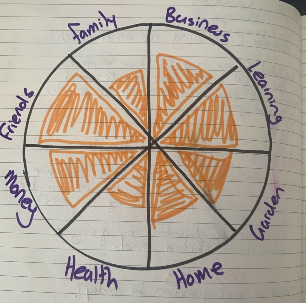 My wheel of life in April that shows my self-rating on eight areas, family, business, learning, garden, home, health, money and friends.